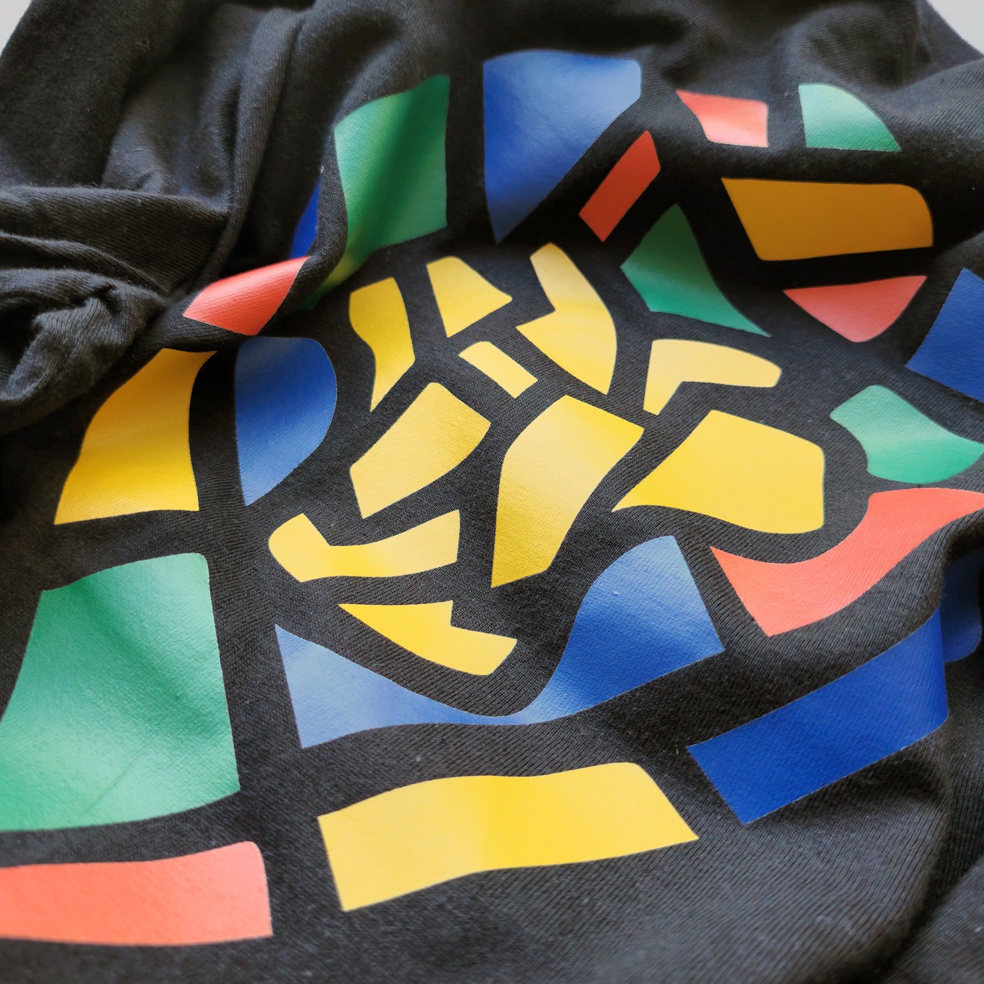 A Black t-shirt with the Lions Roam Icon printed.