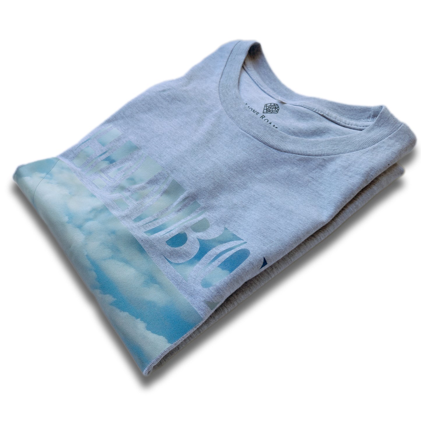 A Grey t-shirt with the phrase "Haaibo" printed in the sky, with a lion roaming the streets of africa.